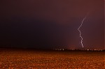 DSC_1338.jpg