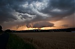 _DSC1265.jpg