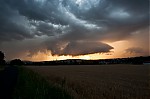 _DSC1272.jpg