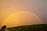 _DSC1355.jpg