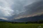 DSC_0165_28129.jpg
