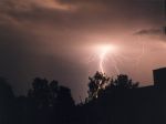 930803_1.jpg
