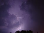 DSC02770.jpg