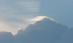pileus.jpg
